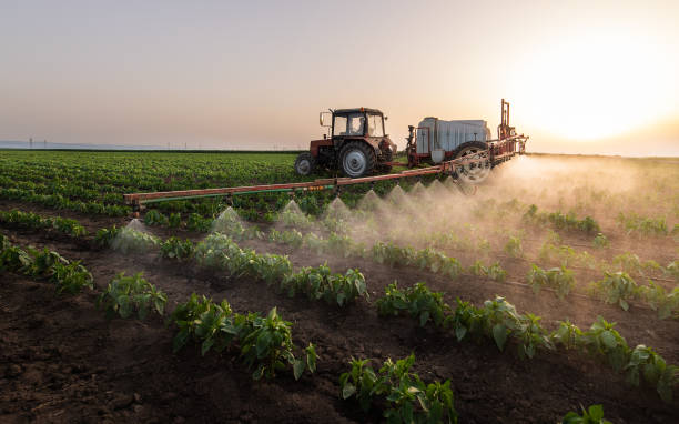Best Best Pest Control Companies  in Dixon, IL