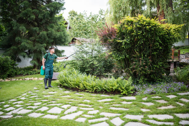 Best Affordable Pest Control Services  in Dixon, IL