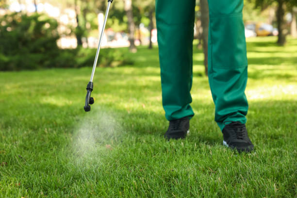 Pest Prevention Services in Dixon, IL