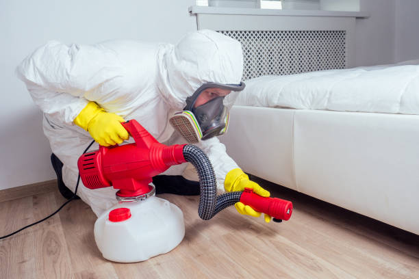 Best Bed Bug Extermination  in Dixon, IL