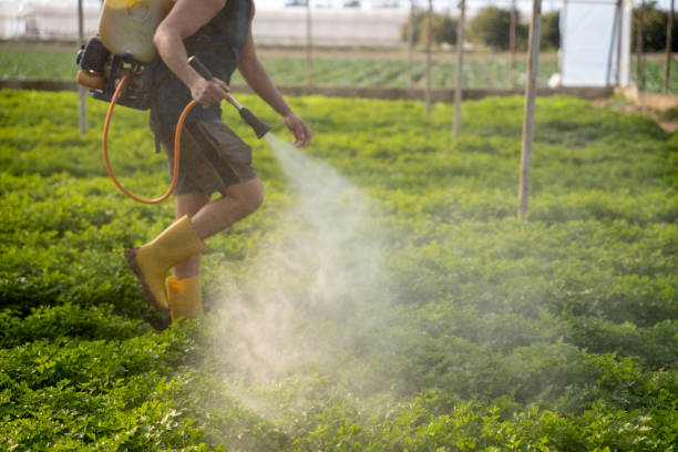 Best Best Pest Control Companies  in Dixon, IL