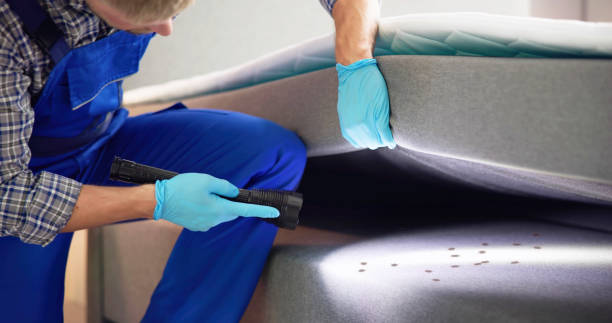 Professional Pest Control in Dixon, IL