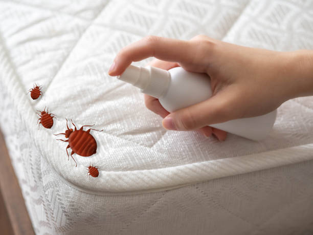 Best Insect Control  in Dixon, IL