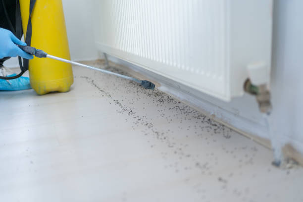 Best Commercial Pest Control Services  in Dixon, IL