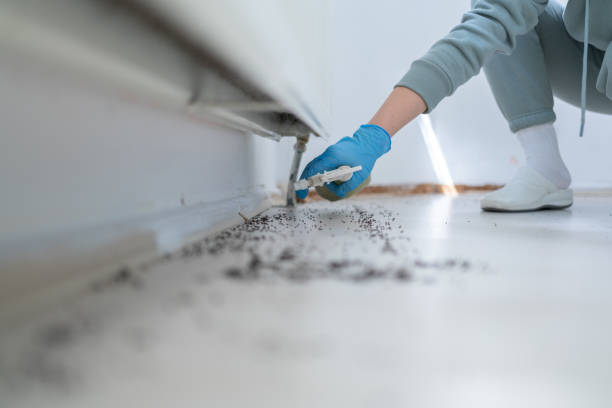 Best Mosquito Control Services  in Dixon, IL